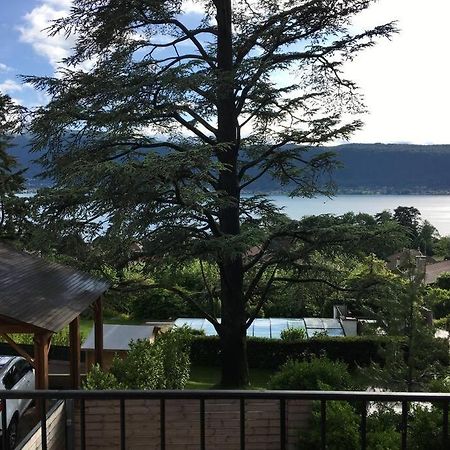 Charmant T2 Vue Lac Veyrier Du Lac / Annecy Exterior foto