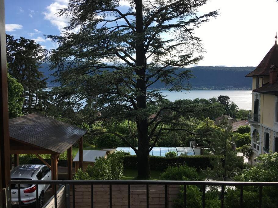 Charmant T2 Vue Lac Veyrier Du Lac / Annecy Exterior foto